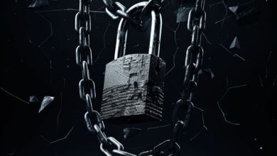 Best Data Protection For Companies: Safeguarding Sensitive Information